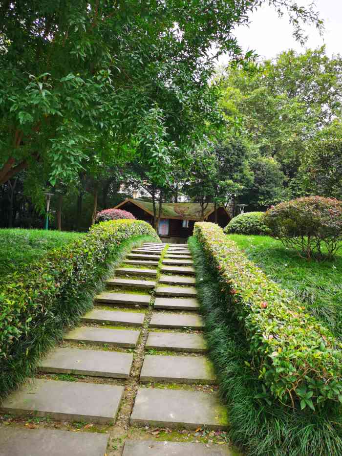 神仙树公园-"不太大的一个公园,整体环境还可以."-大众点评移动版