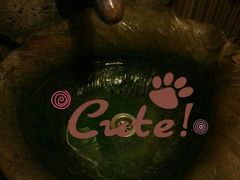 android_upload_pic-同庆堂(解放北路店)