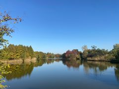 -苏州太湖国家湿地公园