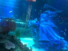 -沈阳海洋探索中心