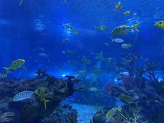 -上海海昌海洋公园-停车场