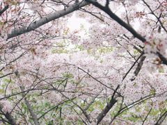 -上海南浦大桥长途旅游客运站