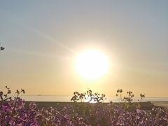 -东戴河风景区-止锚湾