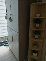 -至臻康妍健康管理中心