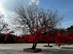 -冶父山国家森林公园