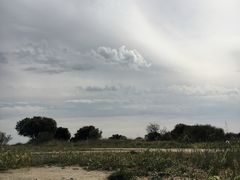-马德里拉斯咯扎斯购物村