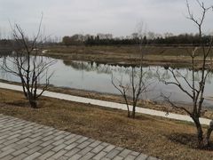 -洨河生态公园