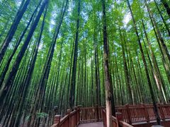 -山王坪喀斯特国家生态公园
