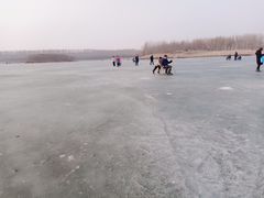 -丁香湖公园
