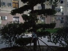 -山东大学(千佛山校区)
