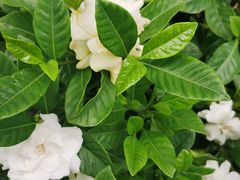 -比斯特上海购物村精品奥特莱斯