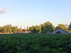 -长春市南湖公园