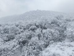 -太子岭滑雪场