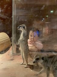 -酷嗒动物文化乐园(cutezoo西溪乐天城店)