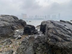 -黑石礁公园