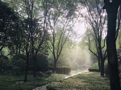 -唐城墙遗址公园
