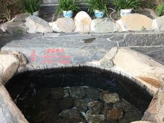 -庐山天沐温泉度假村