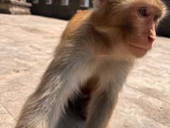 -白帝城·瞿塘峡景区