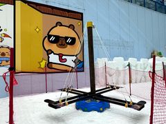 -哈尔滨热雪奇迹