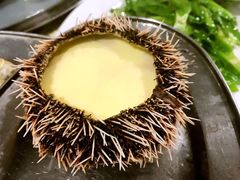 -芭芭露莎