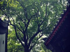 -北京鹫峰国家森林公园