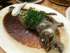清蒸青斑-景隆乳鸽王海鲜餐厅(溪涌店)