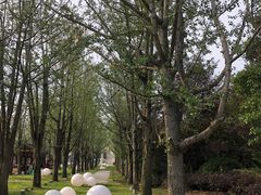 -天河潭旅游度假区
