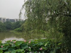 -浙江大学(玉泉校区)