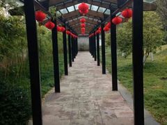 android_upload_pic-走马楼饭庄(慈城古县城店)