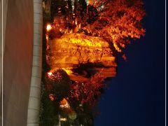 -昆山城市生态森林公园