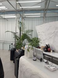 -BOF HAIR BY HONTO