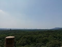 -灵谷景区