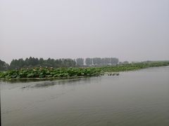 -白洋淀景区