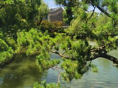 -上海醉白池公园
