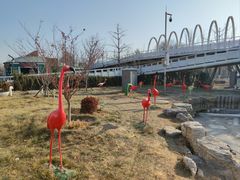 -大兴滨河森林公园