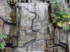 -广州市流溪河国家森林公园