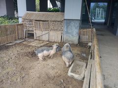 -宁波九龙湖开元度假村