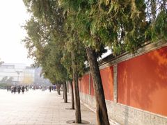 -大雁塔北广场音乐喷泉