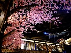 -章丘宴(唐人中心店)