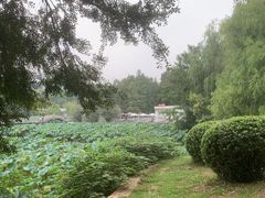 -月湖风景区