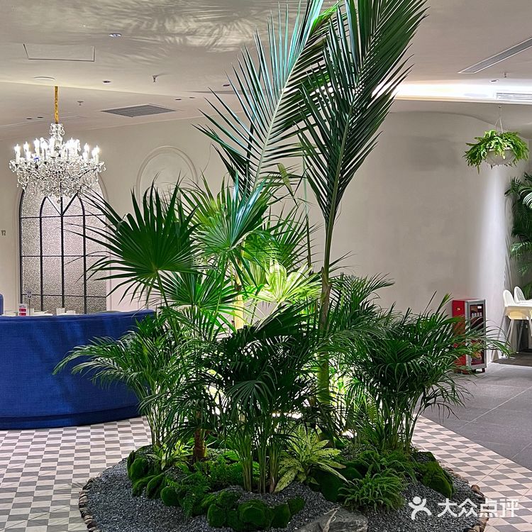 真的好喜欢广州的这家老牌网红泰国餐厅。。。。。