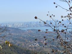 -灵顺寺