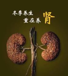 -香薇妮丝女子减肥院