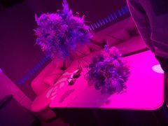 -方糖KTV-PLUS(世茂广场店)