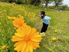 -盘龙城遗址博物院