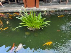 -三亚亚龙湾五号度假别墅酒店