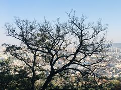 -灵岩山风景区