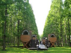 -黄海国家森林公园