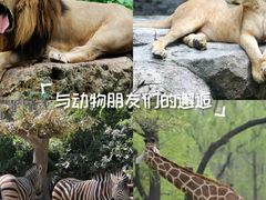 -南昌动物园