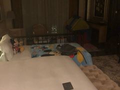 -上海浦东星河湾酒店